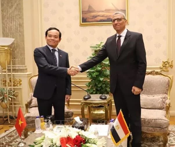 Deputy PM Tran Luu Quang’s visit to Egypt has been a success: Deputy FM