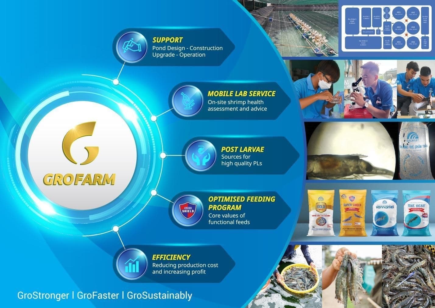 Grobest Vietnam introduces sustainable shrimp farming model