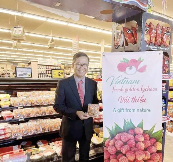Give wings for Viet Nam’s aspiration to take flight: Consul General