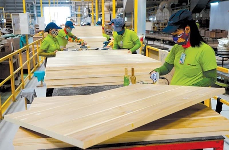 Timber industry regains momentum on rising export orders