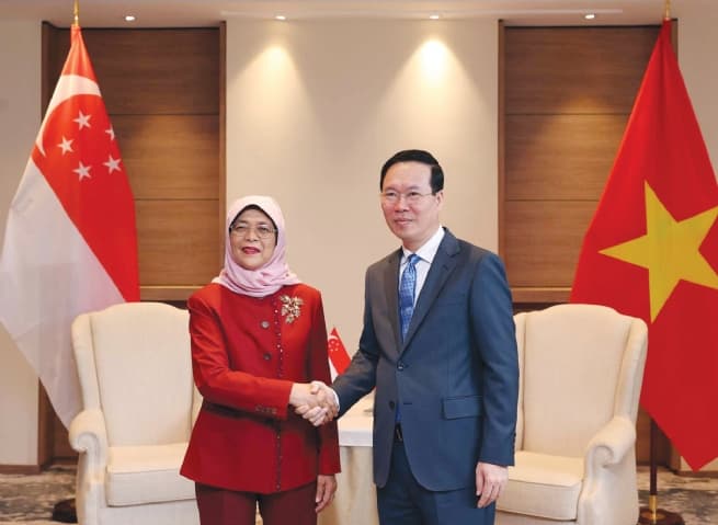 Vietnam - Singapore Steadfast and Substantive Partnership