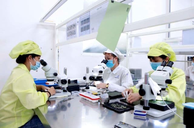 Local electronics producers slip through the cracks