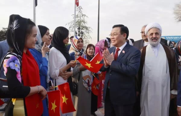 NA Chairman Vuong Dinh Hue meets Embassy staff, Vietnamese community in Iran