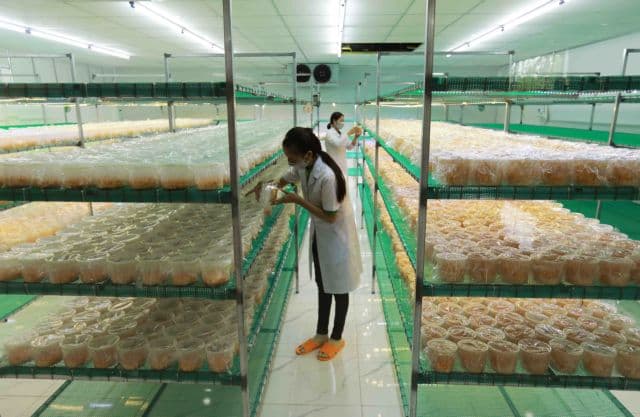 OCOP products struggle to sell on home turf
