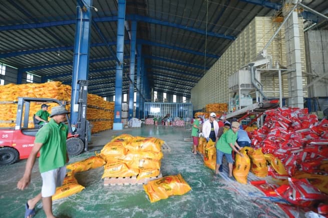 Expanding Rice Export Opportunities and Supporting Forestry and Fishery Products
