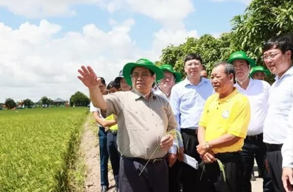 Prime Minister Pham Minh Chinh visits agricultural production facilities in Dong Thap