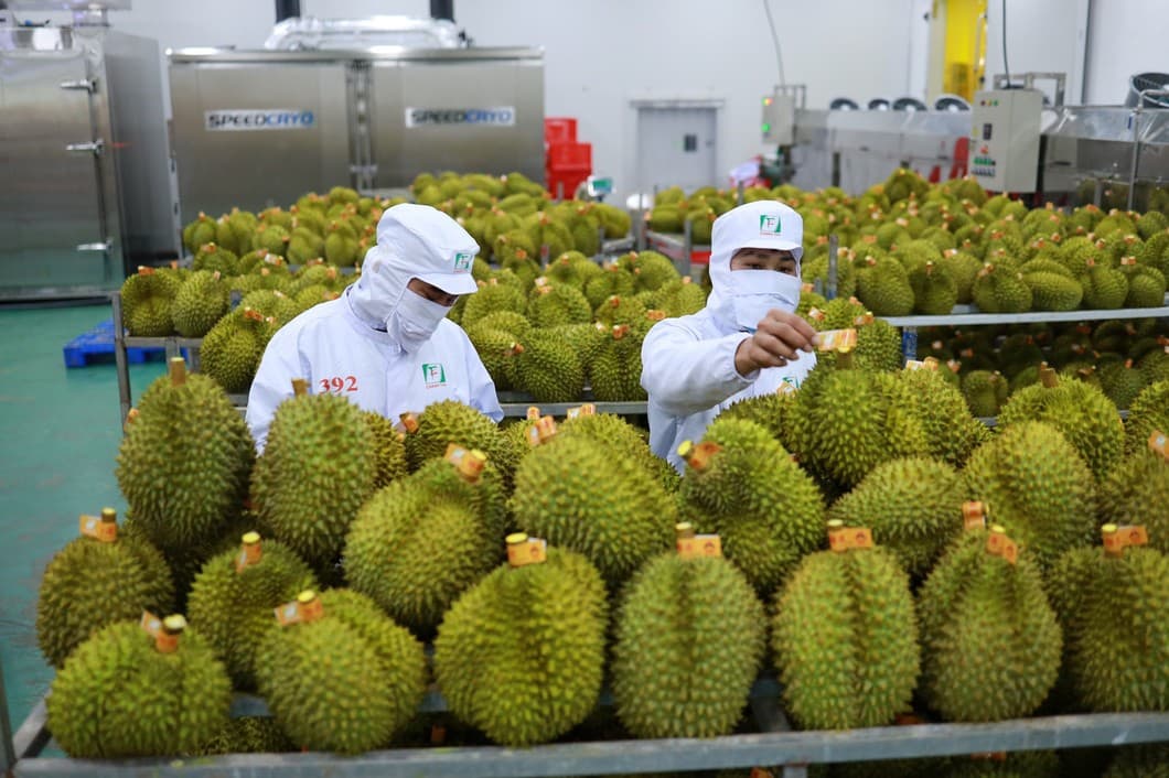 New advantages for Vietnam exports to the UK