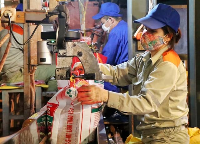 VAT-exempt status more of hindrance than help