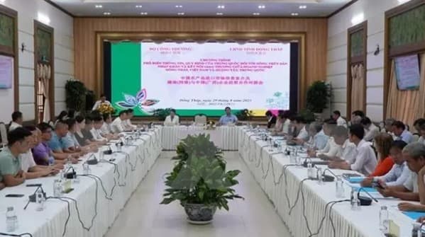 Dong Thap, China's Guangxi eye stronger trade ties