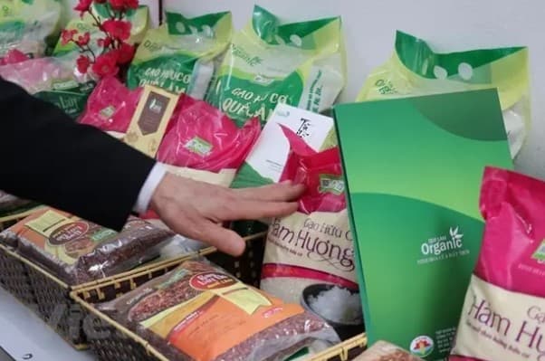 Hanoi's August CPI rose 1.08 per cent from last month: Statistics Office