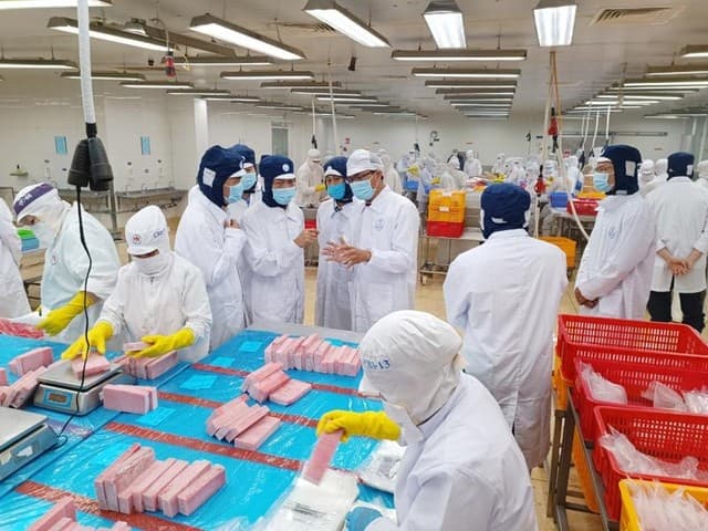 Viet Nam Reports Record Business Registration Growth in First Eight Months