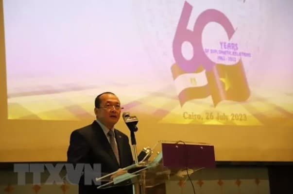 Vietnam-Egypt affirm high determination to lift up bilateral relations: Ambassador