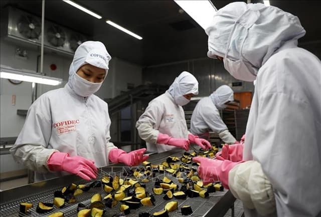 VN's macro-economic indices in August released