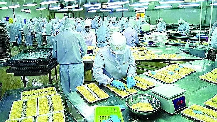 Outlook for seafood export in the last months of the year