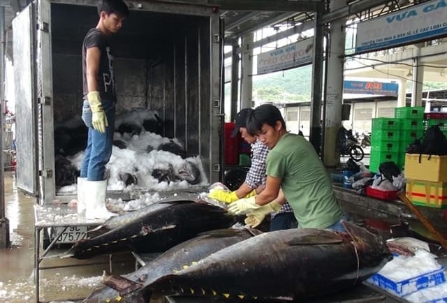 Many Opportunities to Boost Tuna Exports to The UK