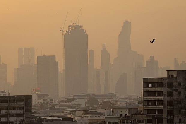 Air pollution shortens Thais' lifespan by 1.8 years: report