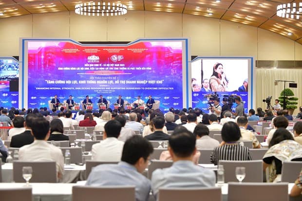 VN must address underlying issues to unleash growth