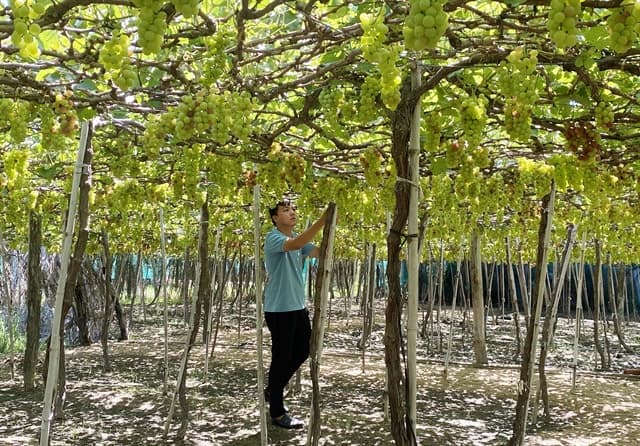 Cooperatives need support to make a breakthrough