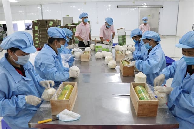Vietnam sees many opportunities in coconut exports