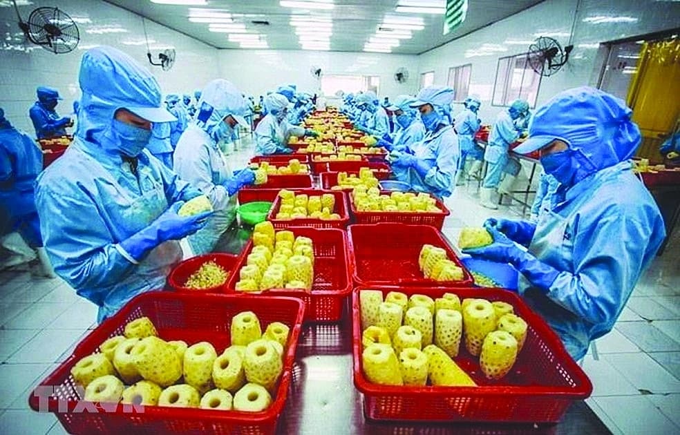The United States - a potential market for exporting goods