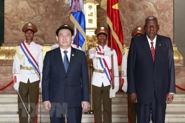 Vietnam - Cuba relations far beyond all diplomatic, political levels: Cuban official