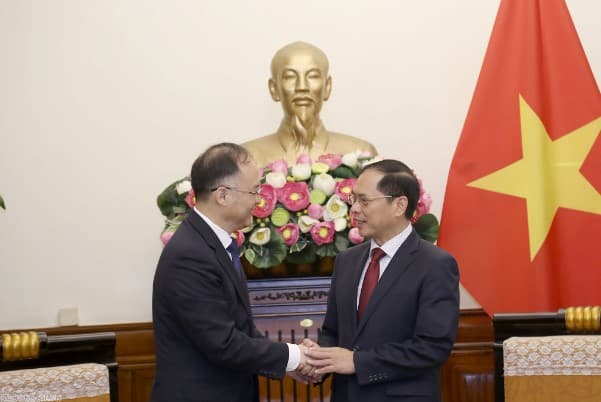 FM Bui Thanh Son receives Chinese Assistant FM Nong Rong
