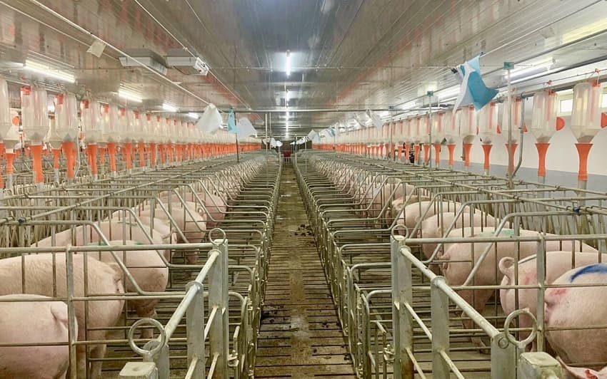 Agricultural sector sees mixed results