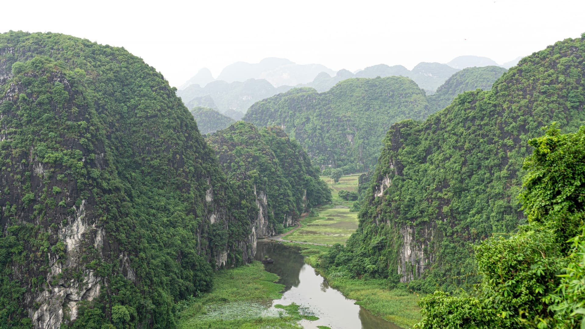 Vietnam poised to become large-scale carbon credit market