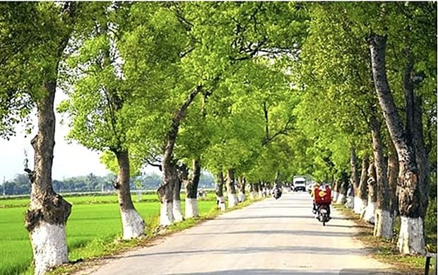 Ministry proposed to upgrade national highways connecting with Laos, China