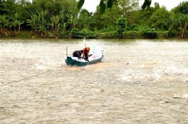 Workshop stresses PPP’s role in cutting emissions from tra fish production chain in Vietnam