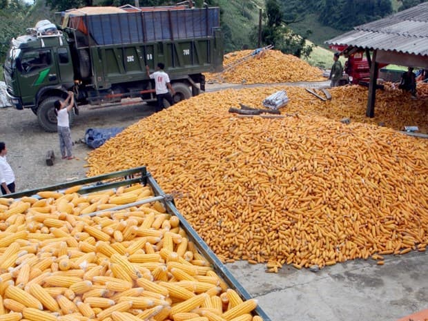 Businesses must look to diversify supply