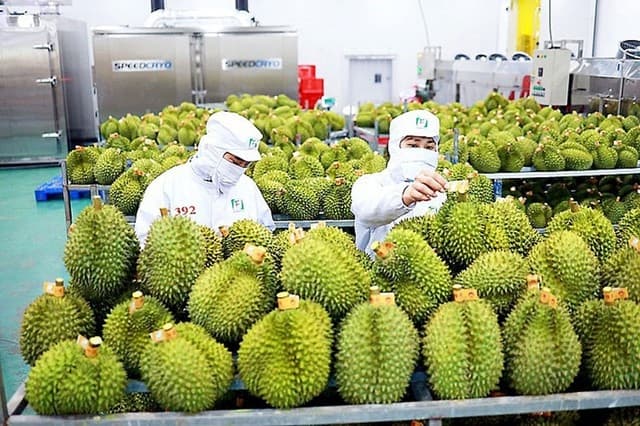 Fruit and Vegetable Exports Forecast to Set New Record