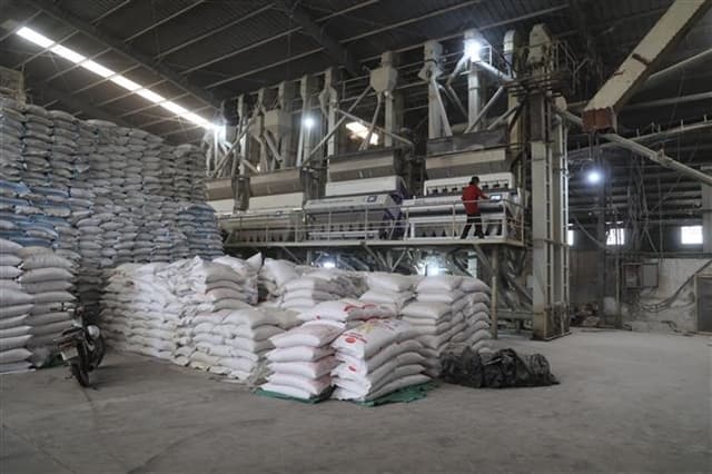 Vietnam's rice exports revenue surges to new record