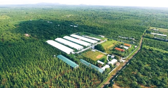 HDBank Offers Competitive Loans for Agricultural and Rural Development