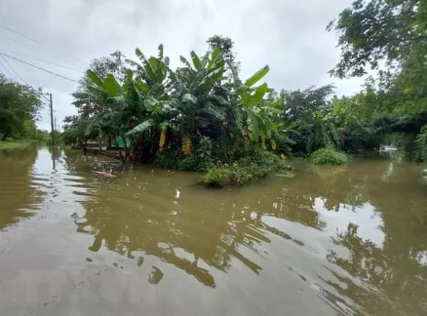 PM Pham Minh Chinh orders proactive responses to flood risks in central region