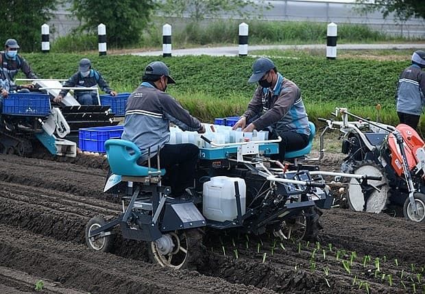 Thailand strives for innovation in agriculture