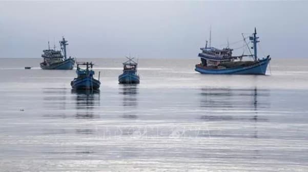 Tien Giang's fishing vessels strictly follow regulations, curbing IUU fishing: Authority