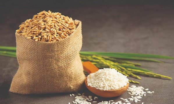 Elevating Hanoi rice brand in domestic and overseas market