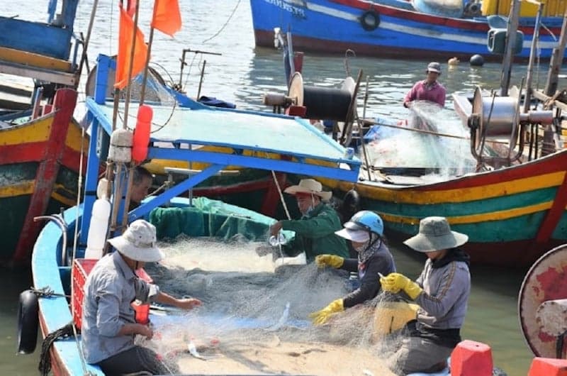 Removing the IUU "yellow card": Vietnam’s efforts expected to reap fruit soon