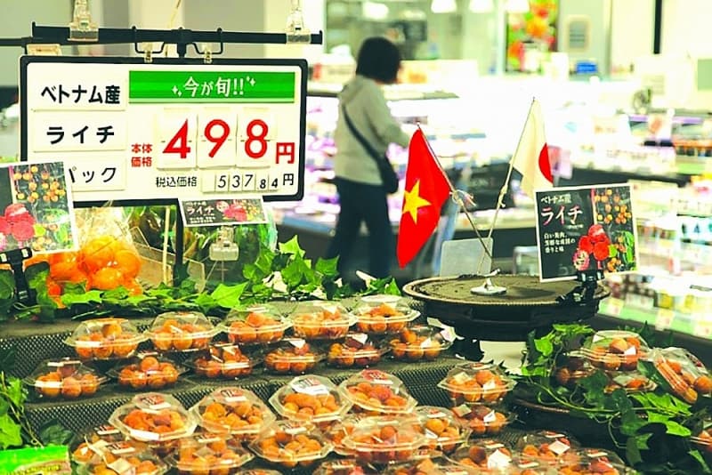 Bringing Vietnamese goods to Japanese supermarkets