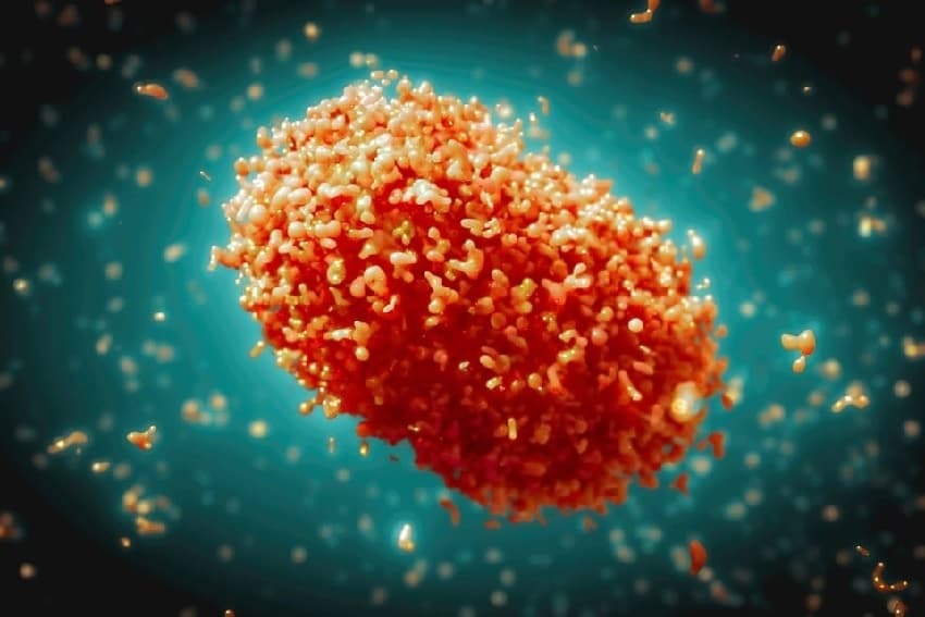 Indonesia works to tackle risk of monkeypox outbreak