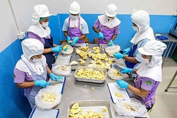 Thailand reduces visa, stay fees for workers from SE Asia