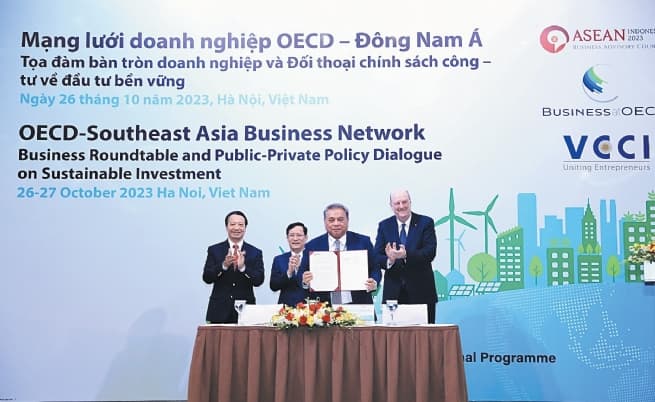 OECD and Southeast Asia: Collaborative Efforts to Cultivate Sustainable Investments