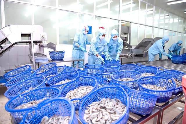 Enterprises cut 2023 business expectations after poor results in 9 months