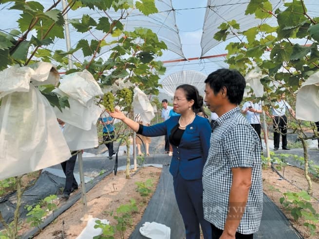 Advancing New-Style Rural Areas: Substantive and Efficacious