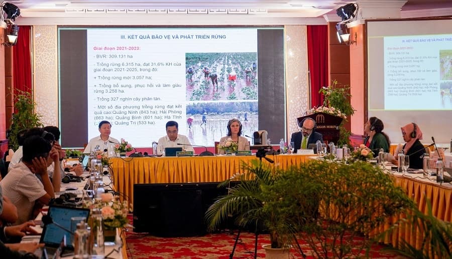 Leveraging plural values of mangroves to mitigate climate change