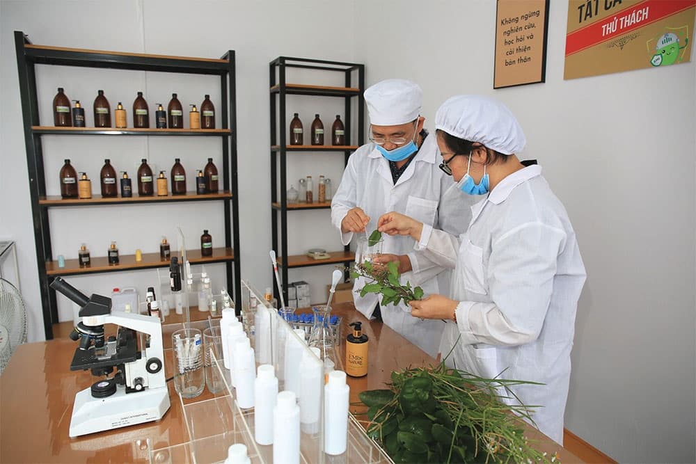 Fostering the private sector to accelerate green industries