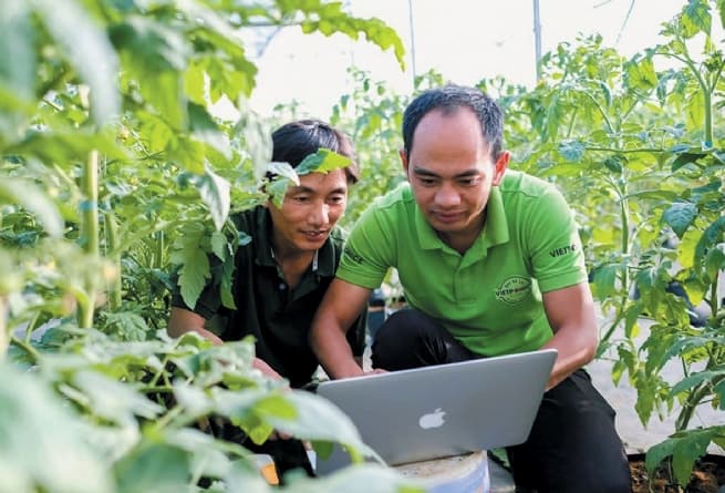 Accelerating Adoption of Hi-tech Agriculture for Sustainable Development