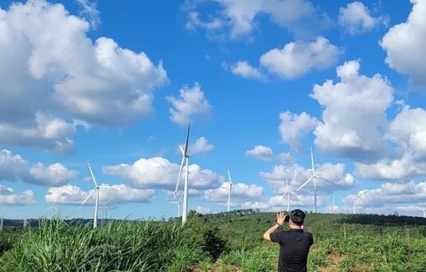 Carbon market development key to green transition