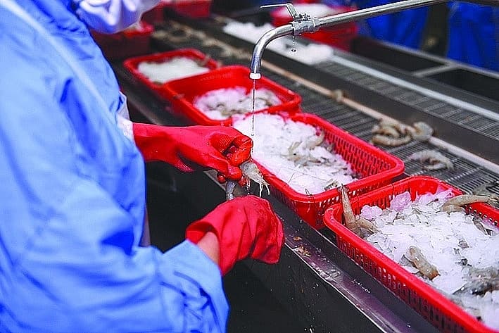 Seafood export still has many difficulties